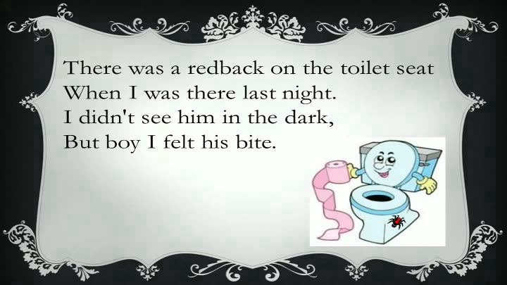Redback On The Toilet Seat