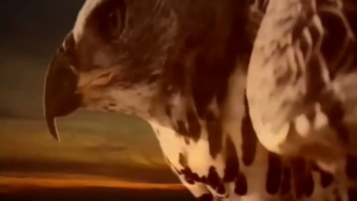 Storms in Africa