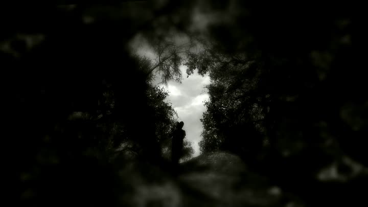 The Sounds Of Silence