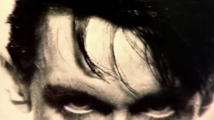 Real Wild Child (Wild One)